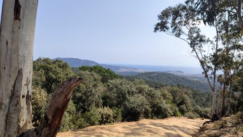 Slide 2 - pujada Mexic